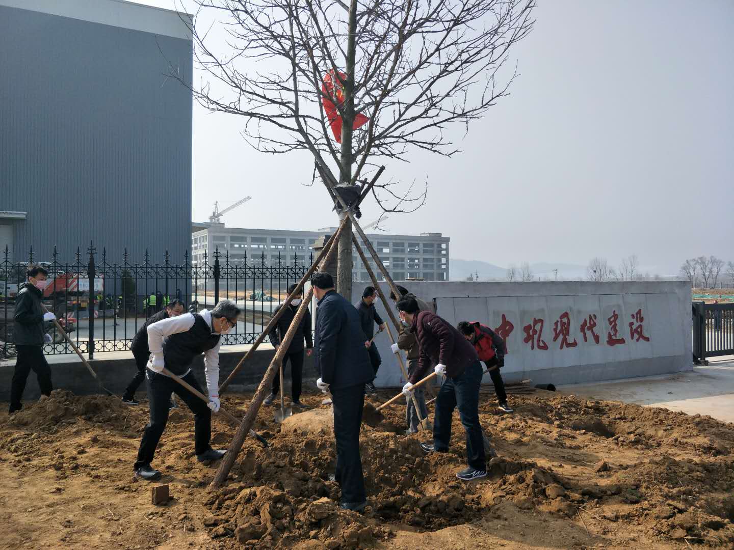 1583994169868806mlpN.jpg 1.jpg