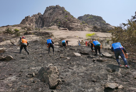 1588234841525676awb3.png image.png