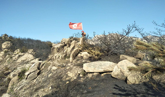 158823495835447523NQ.png image.png