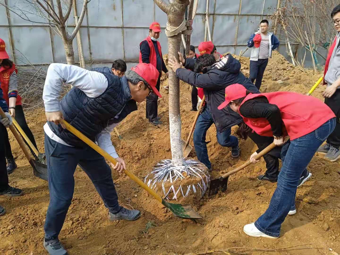 1615771157639999q0KZ.jpg 植樹1.jpg